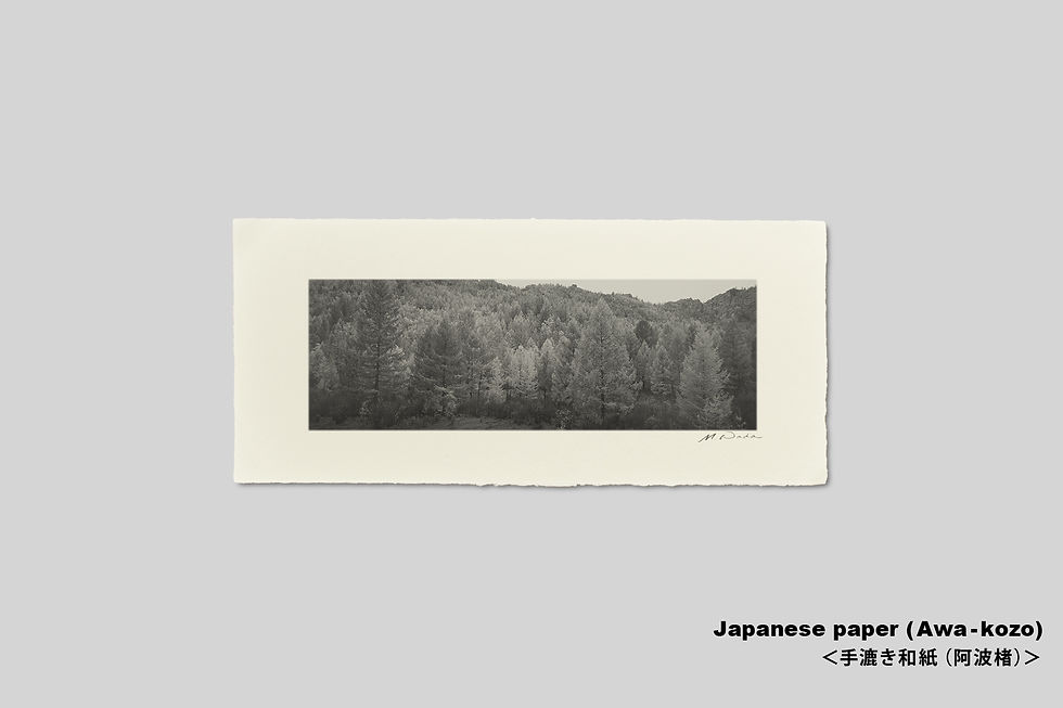 サムネイル： 写真,モンゴル,森,インテリア,モノクロ,オリジナルプリント,風景,空,木,樹木,アート,ギャラリー,IGREBOW,写真販売,横長,額入り,額装,額縁,おしゃれ,プレゼント,手漉き和紙,和モダン,和室,新築祝い,ギフト