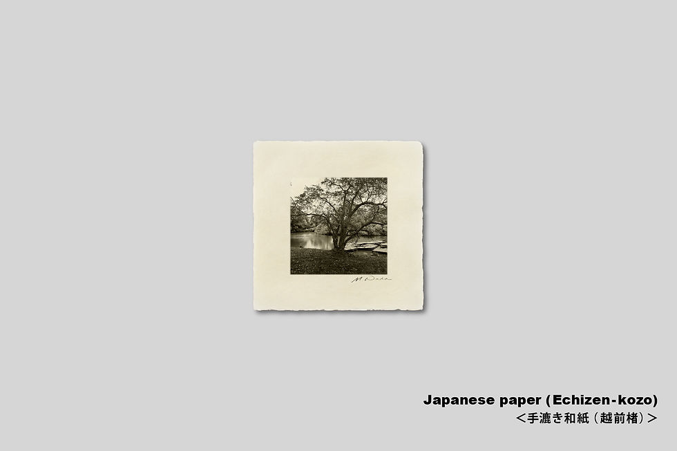 サムネイル： 写真,ニューヨーク,インテリア,セントラルパーク,池,風景,正方形,インテリアフォト,アート,額入り,額装,手漉き和紙,アートフレーム,おしゃれ,モダン,プレゼント,額縁,壁掛け,和室,和モダン,IGREBOW,木額,アルミ額