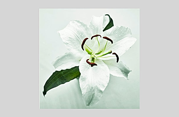 IGREBOWインテリアフォト