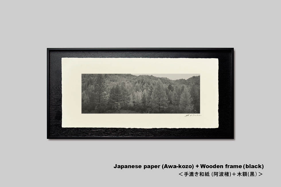 サムネイル： 手漉き和紙,写真,モンゴル,風景,森,自然,インテリア,アート,装飾,オリジナルプリント,おしゃれ,モダン,壁掛け,壁飾り,額装,モノクロ,横長,和室,,プレゼント