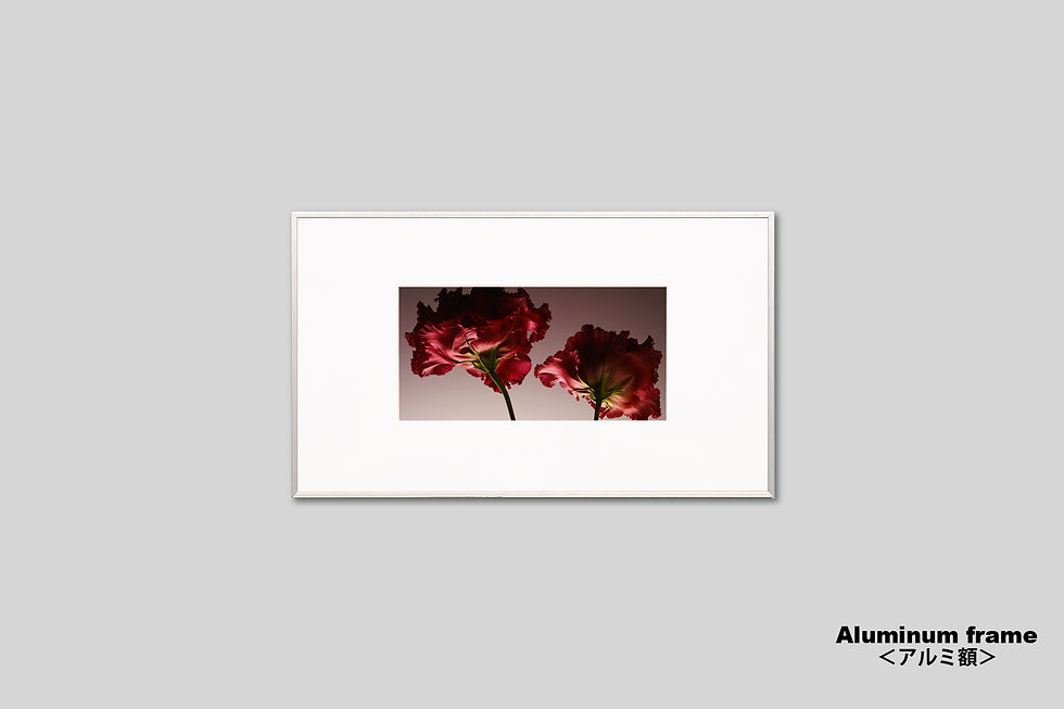 サムネイル： 写真,花,インテリアフォト,アート,トルコキキョウ,赤い花,手漉き和紙,おしゃれ,プレゼント,新築祝い,ギャラリー,写真販売,額入り,和モダン,和室,額装,額縁,IGREBOW,GallerySB