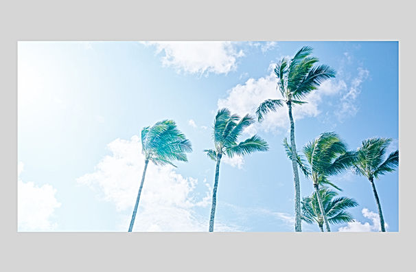 IGREBOWインテリアフォト