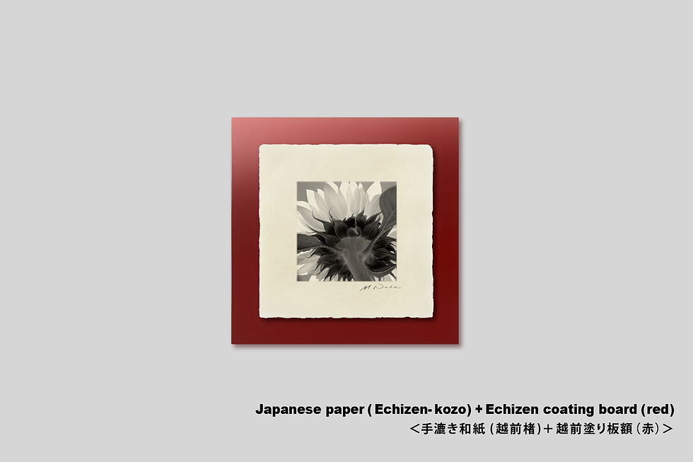 サムネイル： 写真,花,インテリア,ひまわり,ヒマワリ,向日葵,手漉き和紙,おしゃれ,プレゼント,モノクロ,インテリアフォト,アート,和モダン,和室,額入り,額装,写真販売,ギャラリー,IGREBOW