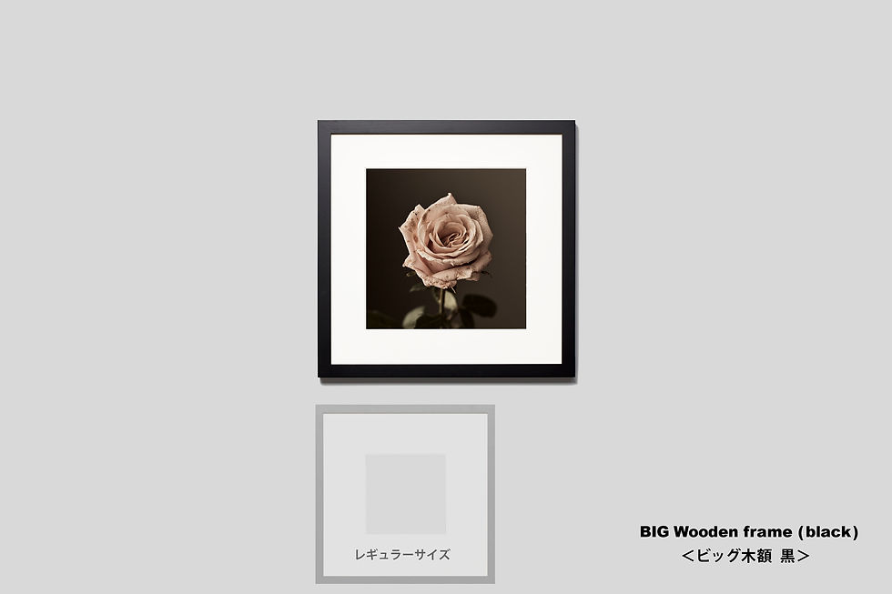 サムネイル： 写真,花,バラ,薔薇,ばら,インテリアフォト,おしゃれ,プレゼント,枯れる,手漉き和紙,和モダン,和室,アート,正方形,額入り,ギャラリー,壁掛け,額装,額縁,写真販売,IGREBOW
