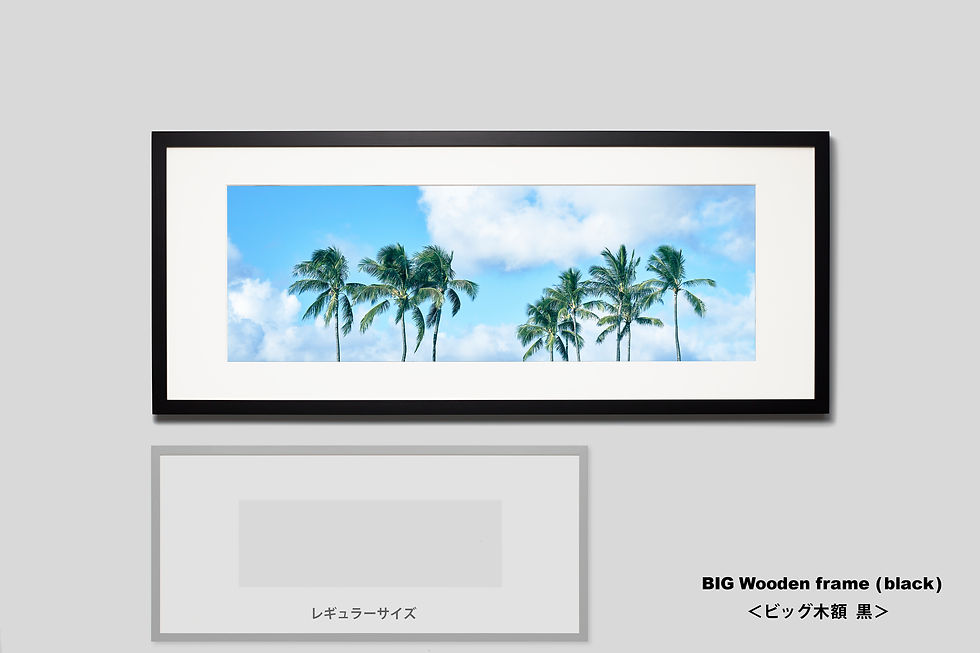 サムネイル： ヤシの木,ハワイ,トロピカル,インテリア,写真,風景,自然,インテリアフォト,アート,額入り,横長,額装,オリジナルプリント,アートフレーム,フォトフレーム,おしゃれ,モダン,壁掛け,壁飾り,装飾,ウォールアート,新築祝い