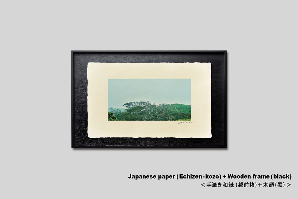 サムネイル： 写真,IGREBOW,北海道,釧路,尻羽岬,空,鳥,原生林,インテリア,インテリアフォト,手漉き和紙,アート,額入り,額装,オリジナルプリント,和モダン,和室,模様替え,空間演出,フレーム,おしゃれ,プレゼント,写真販売,壁掛け,壁飾り