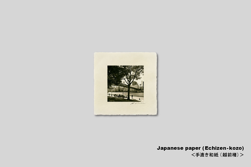 サムネイル： 写真,ニューヨーク,インテリア,マンハッタン,街並み,都会,ビル群,クィーンズボロブリッジ,正方形,インテリアフォト,アート,額入り,額装,手漉き和紙,アートフレーム,おしゃれ,モダン,プレゼント,額縁,壁掛け,和室,和モダン,IGREBOW