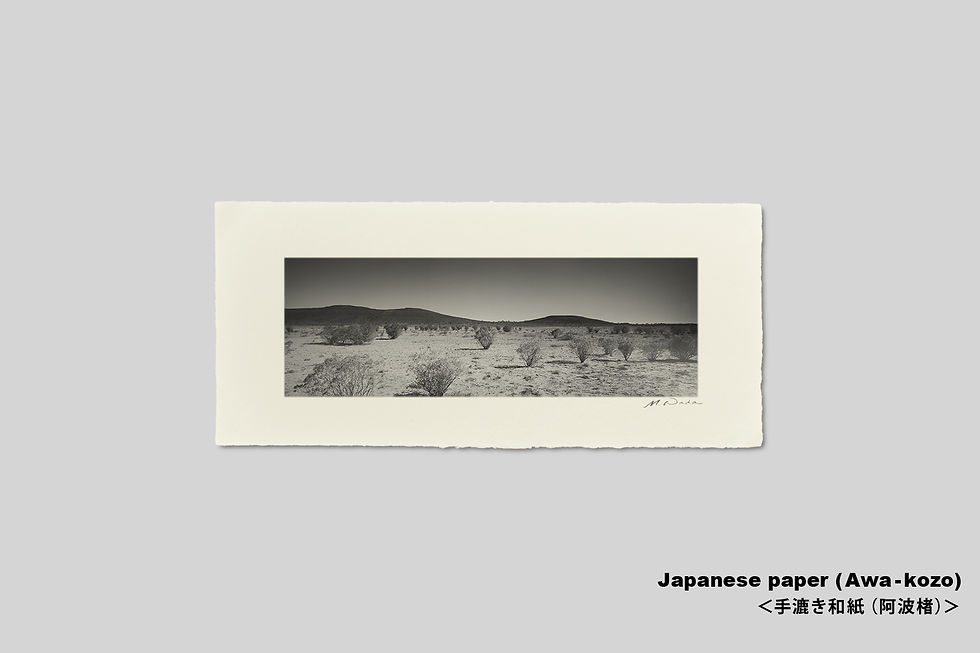 サムネイル： 写真,オーストラリア,荒野,ノーザンテリトリー,インテリアフォト,モノクロ,アート,ギャラリー,IGREBOW,木,大地,写真販売,横長,額入り,額装,額縁,おしゃれ,プレゼント,手漉き和紙,和モダン,和室,新築祝い,ギフト