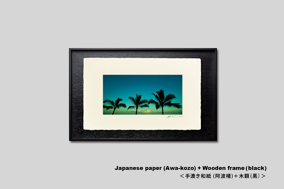 サムネイル： 写真,ヤシの木,インテリアフォト,アート,IGREBOW,ニューカレドニア,空,海辺,トロピカル,リゾート,南の島,南国,手漉き和紙,和モダン,和室,ギャラリー,写真販売,額入り,額装,額縁,プレゼント,新築祝い,GallerySB
