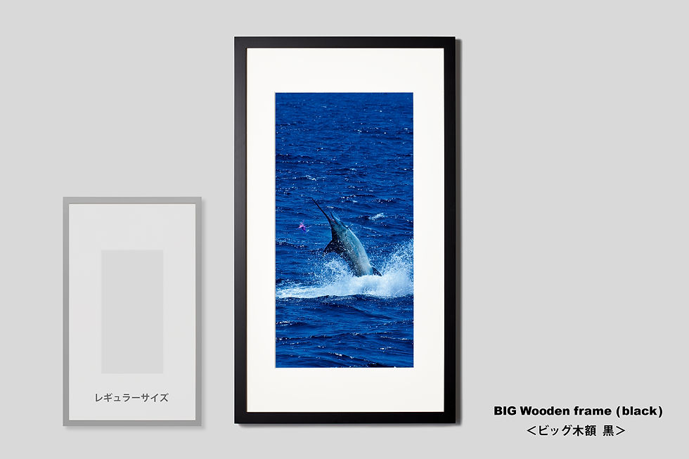 サムネイル： 写真,カジキマグロ,ジャンプ,海,アート,インテリア,IGREBOW,手漉き和紙,和モダン,和室,ギャラリー,写真販売,額入り,額装,額縁,プレゼント,新築祝い,GallerySB