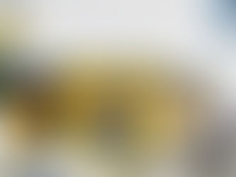 Figaro to spin off Angel's Pizza business