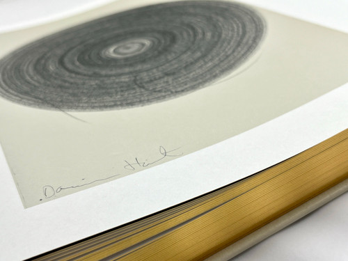 From the Cradle to the Grave　ダミアン・ハースト Damien Hirst | Untitled (Original drawing from From the Cradle to