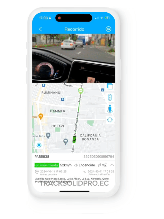 Esencial pagina gif .gif