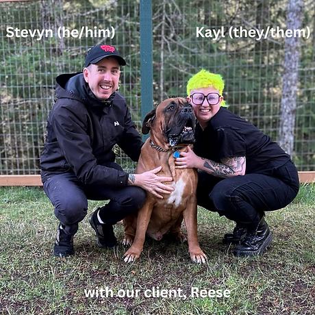 Two dog walkers crouch on the grass with a large mastiff dog who is one of their dog walking clients. 