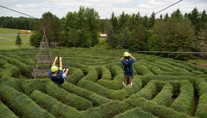 Summer Maze Days