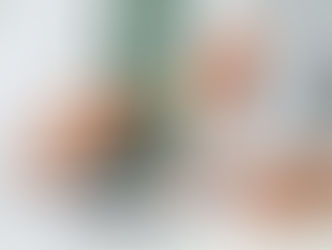 Doenças Túbulo Intersticiais