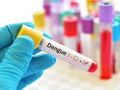 Vacina da dengue: impacto global