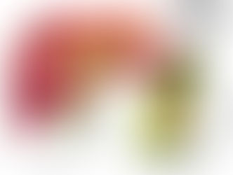 colelitíase, cálculo biliar