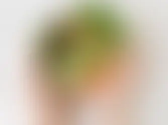 Alimentação Plant-Based