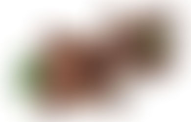 Whole Bean vs Ground Coffee: Which Is Better?