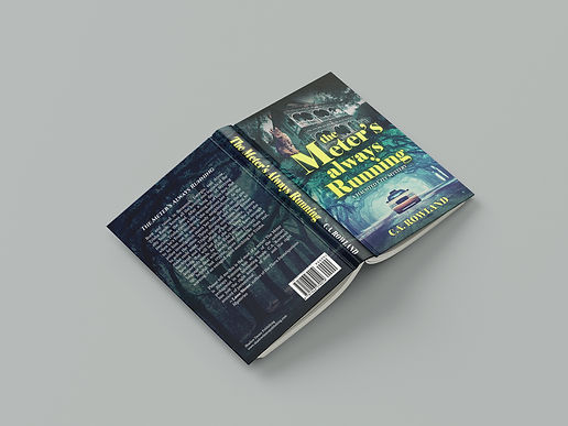 The_Meteres_Always_On 3D.jpg