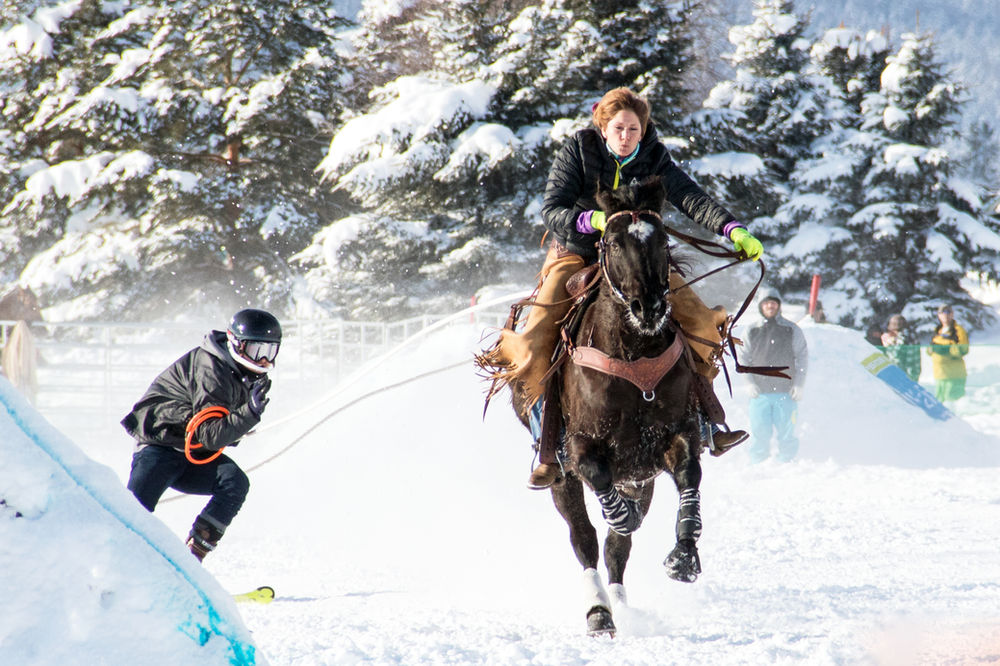 Skijoring at Rebecca Farm in Kalispell, Montana NO Race in 2022