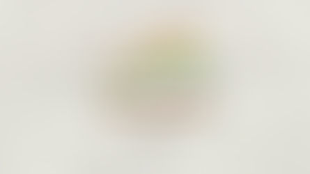 India's Foreign Policy