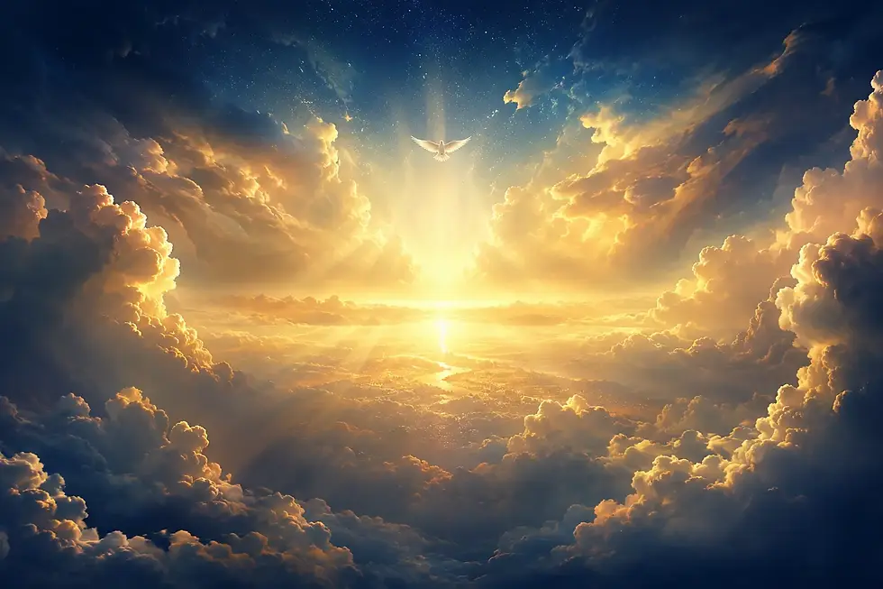 e83ee026-9b2e-4bdd-8465-a836a0753da0 (1).webp