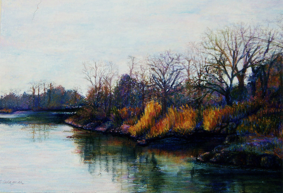 Landscape of Westport CT Marsh