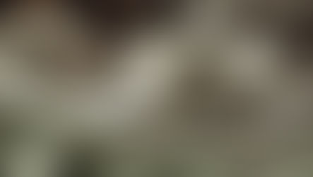 Marketing Strategy Psychology: reading glasses, book and coffee cup sitting on a table