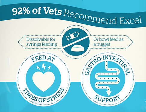 exceldualcare-92-of-vets (1).png