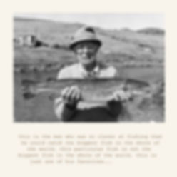 biggest fish (x6)