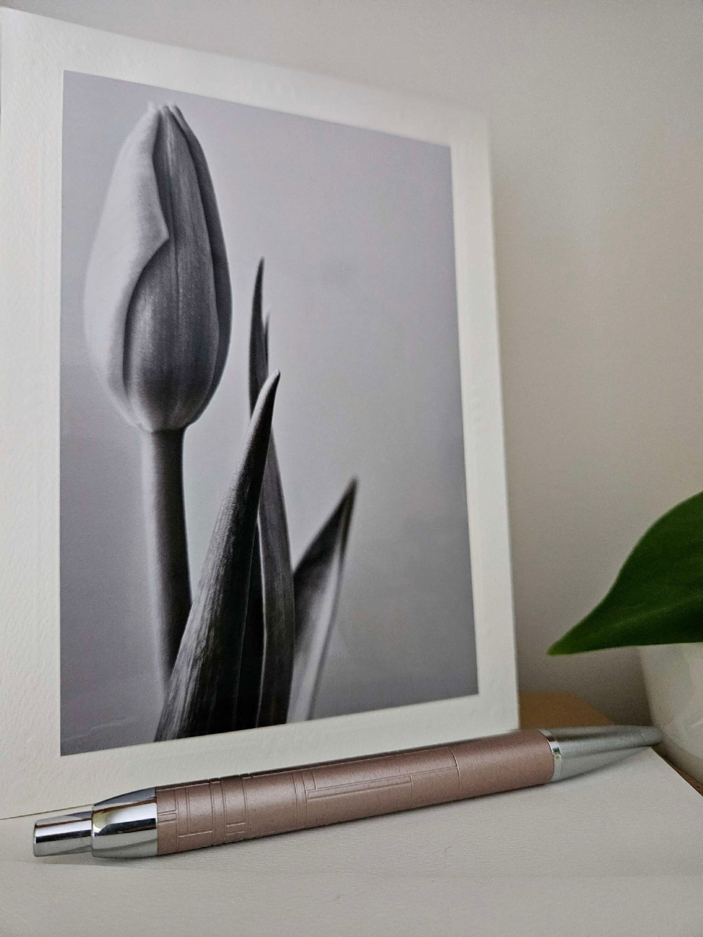 Good Luck Tulip Photographic Greeting Card