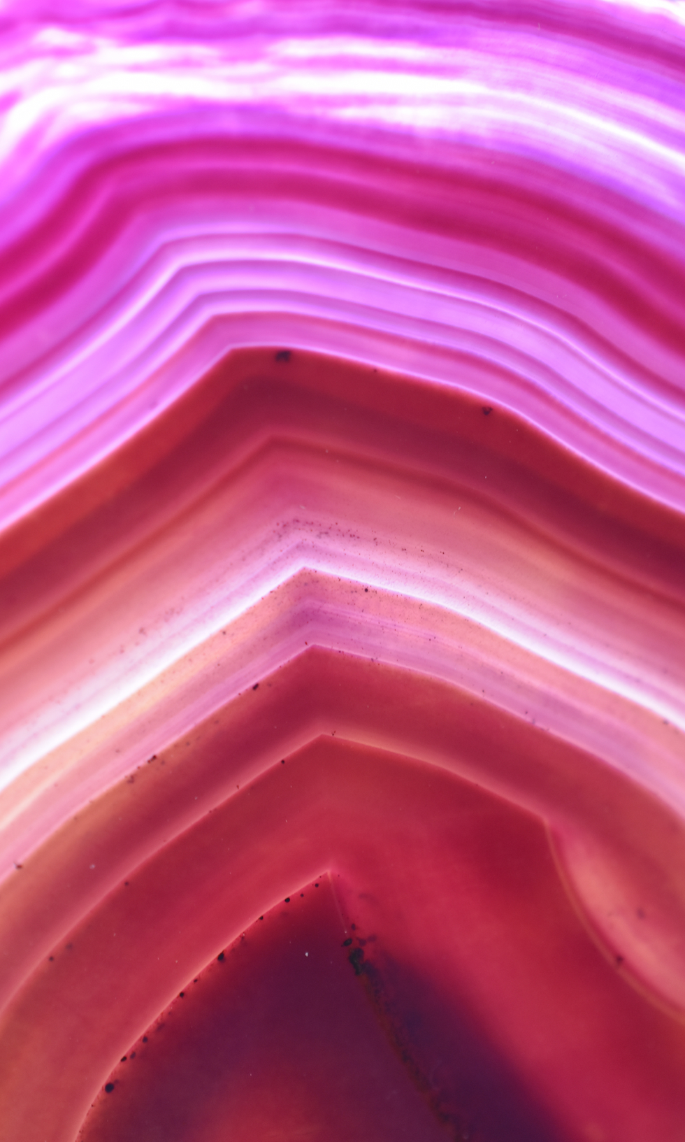 Thumbnail: Angélique PATTE