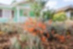 California Natives in the front yard