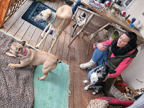 Manuela mit Betreuungshunden 2.jpeg