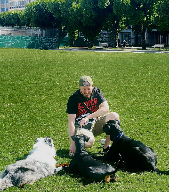 Hundetraining ZH, Junghundekurs, Hundeerziehungskurs Zürich