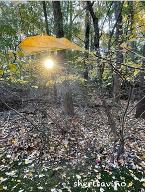 Hold on loosely but don’t let go...