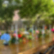IMG_5135.jpeg