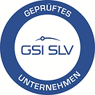 SLV.bmp