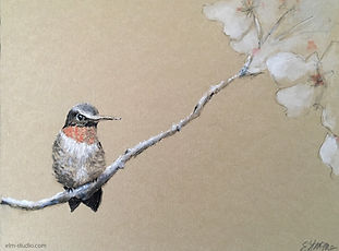 Hummingbird2.JPG