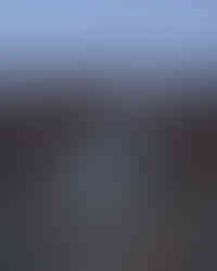 Cammino a 6 zampe, zaino per cane