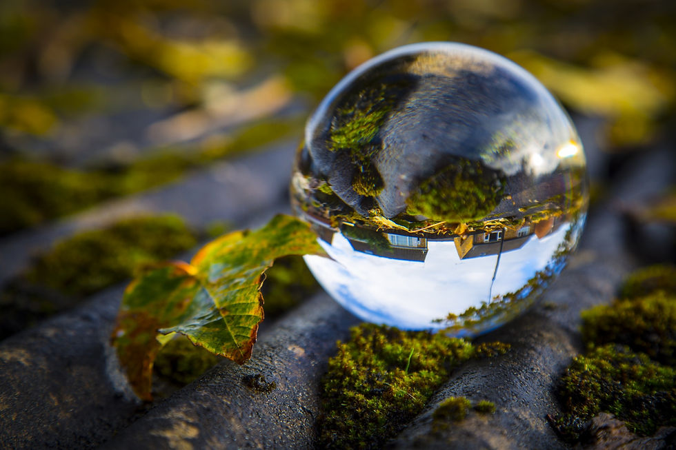 Eight Communications Predictions for 2021