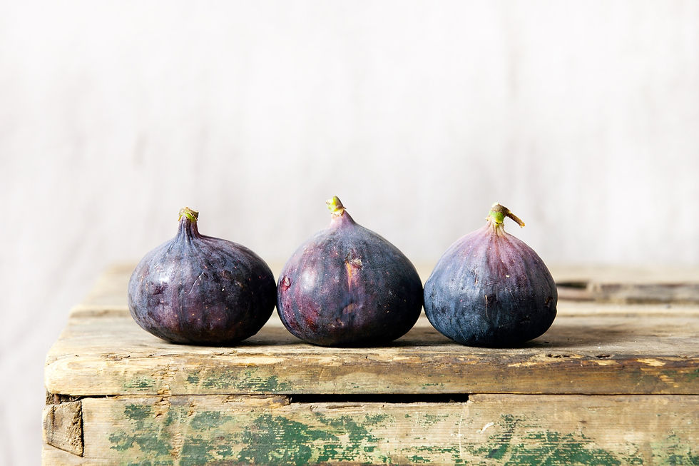 TSF homepage brighter.jpeg