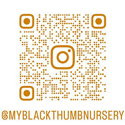 Instagram BAR CODE.jpg