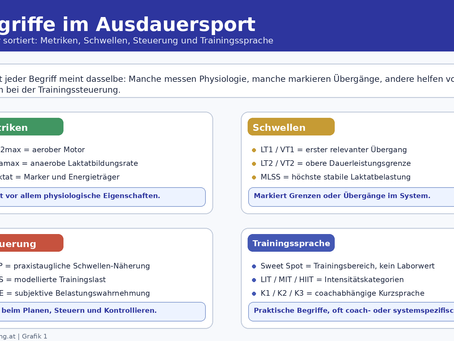 VO₂max, FTP, LT1, Sweet Spot, TSS & Co. endlich verständlich erklärt 🚴🏃🏊