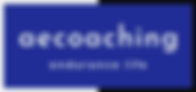 Logo-1733240652682.png