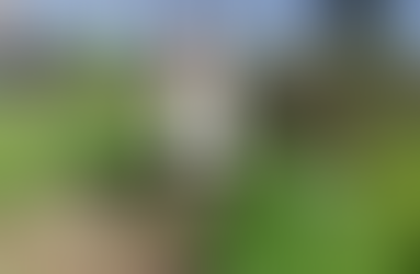 Young lady transitioning from the city to the countryside