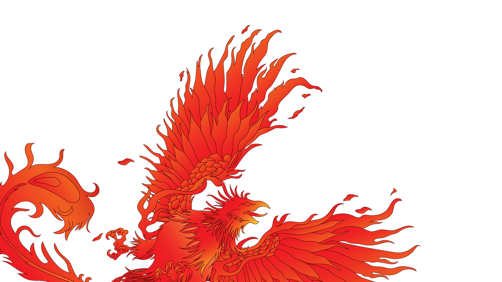 phoenix-contact-bg-web-2.png