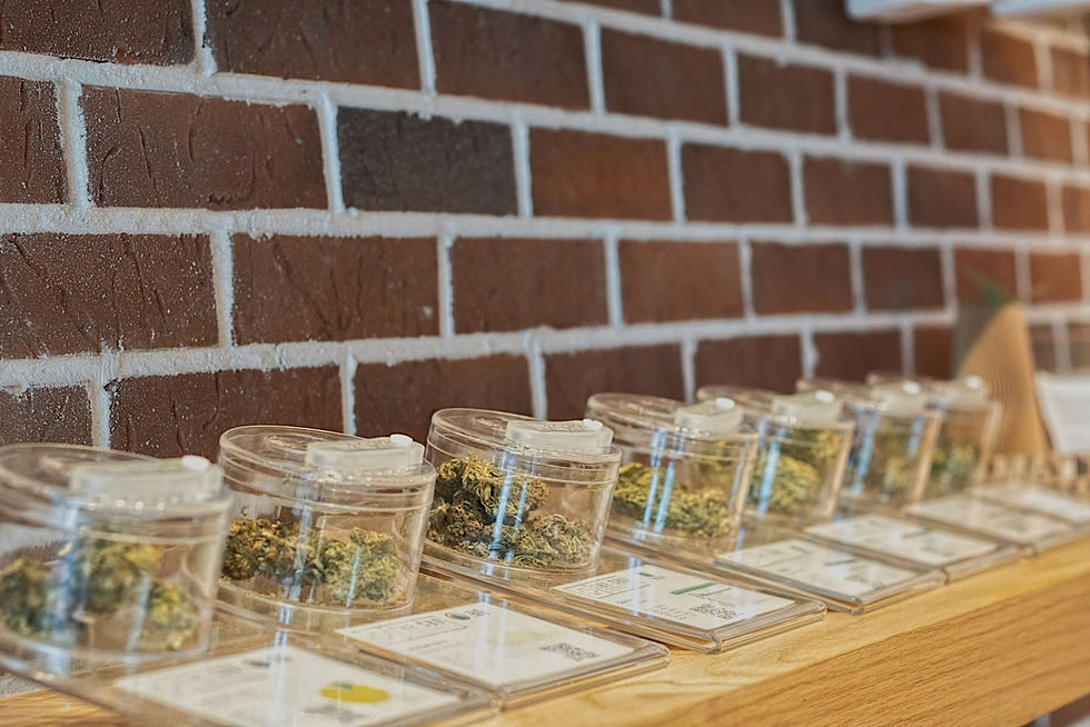 CBD APOTHECARY Grinders Coffee Bar